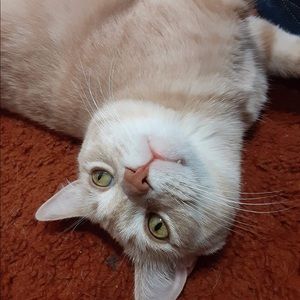 Meet your Posher, Alex